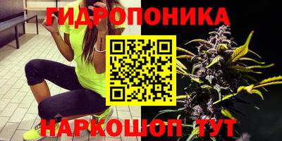 прущие крисы Бугуруслан